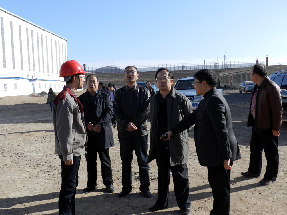 丰镇市市委书记曹思阳（右二）向自治区组织部部长李鹏新（右三）介绍硕丰规模及建设情况